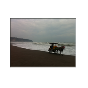 Parangtritis beach, paardenwagen